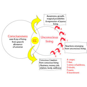 The infusion of consciousness that is suffusion of JOY in Business & Living.
