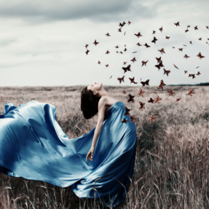 Chasing the Butterfly